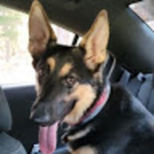 Meet your Posher, Romeo